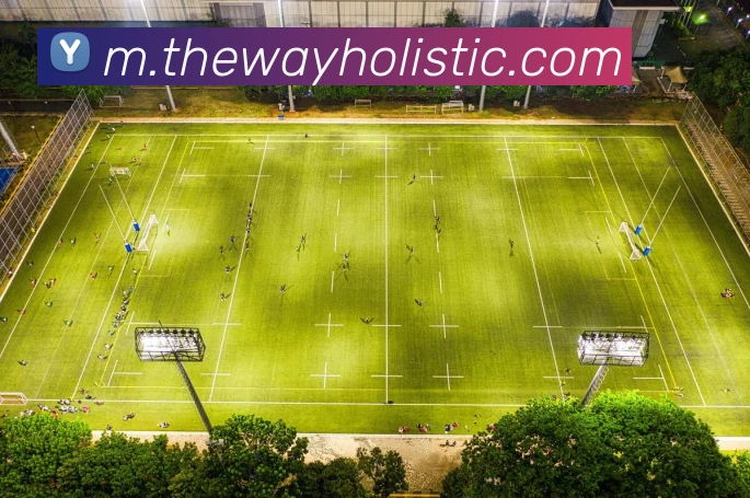 乐鱼体育平台服务体系